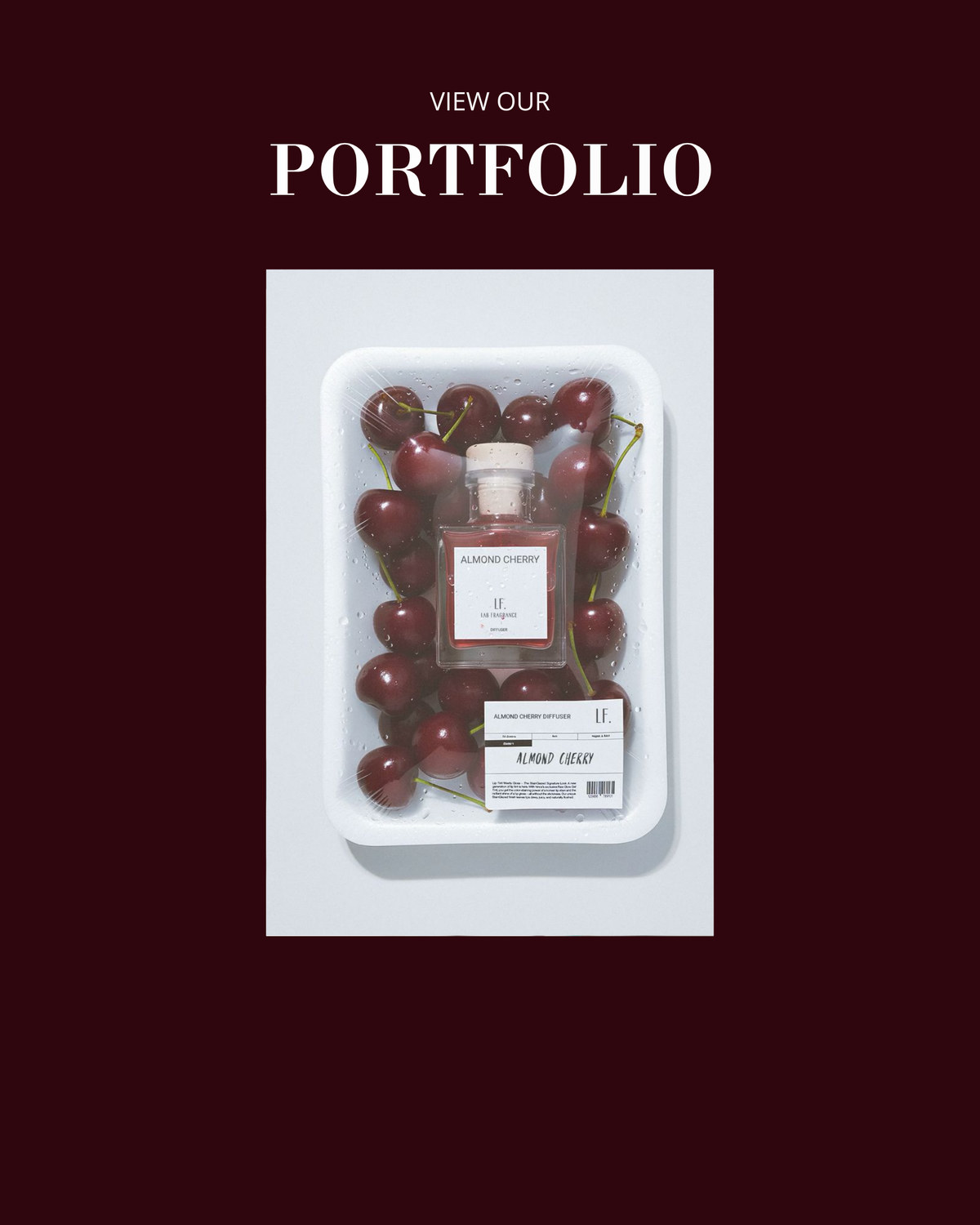 VIEW OUR PORTFOLIO